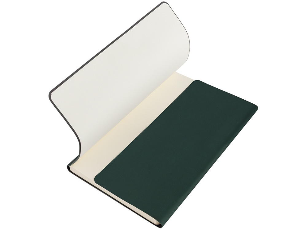 Ежедневник недатированный А5 Valencia