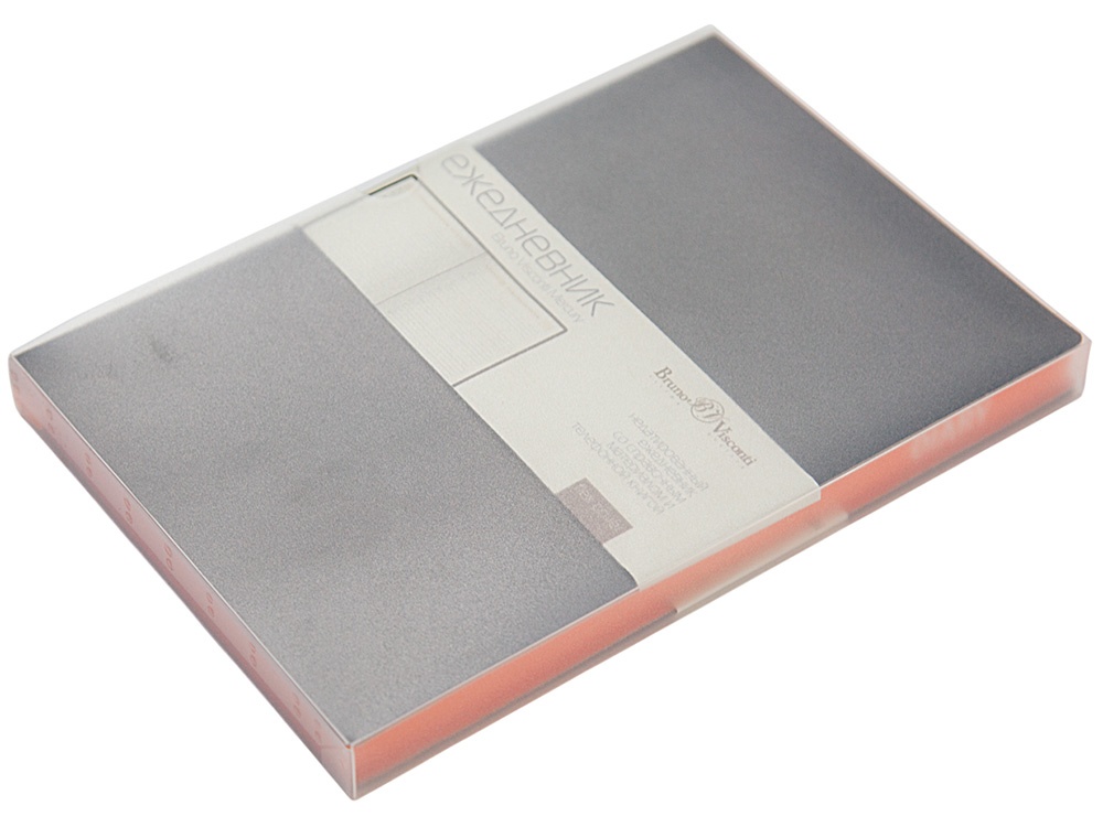 Ежедневник недатированный А5 Mercury