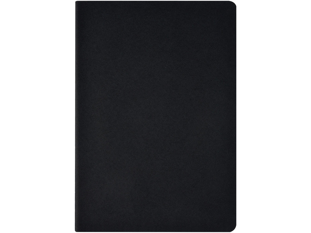 Бизнес тетрадь А5 Pragmatic