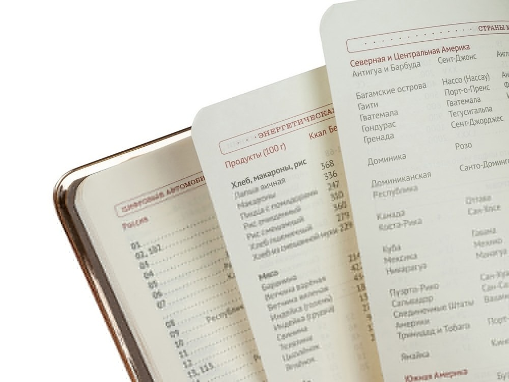 Ежедневник недатированный А5 CHELSEA