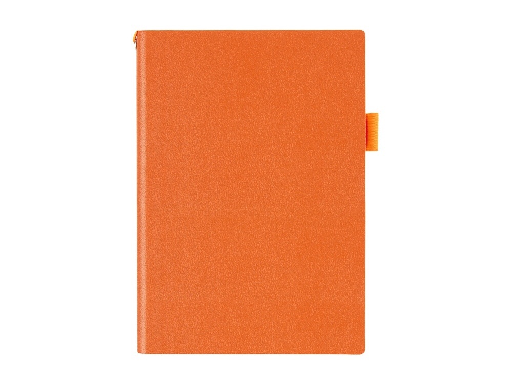 Ежедневник недатированный А5 Grand