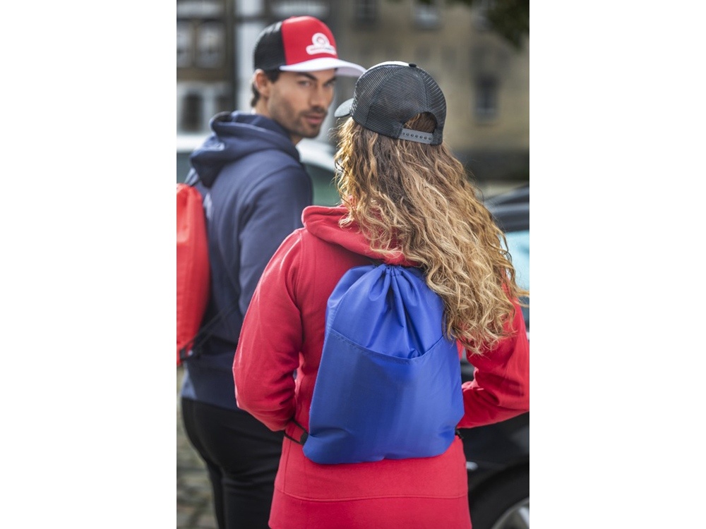 Сумка-холодильник Oriole на 12 банок