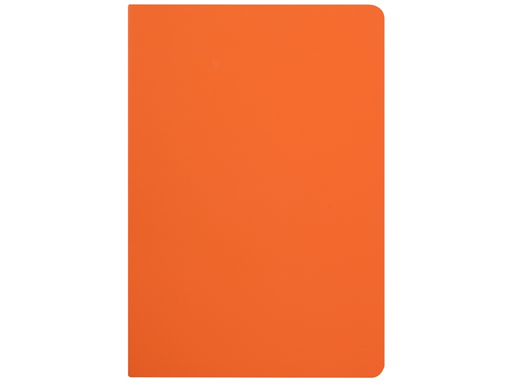 Бизнес-тетрадь А5 Pragmatic Contrast