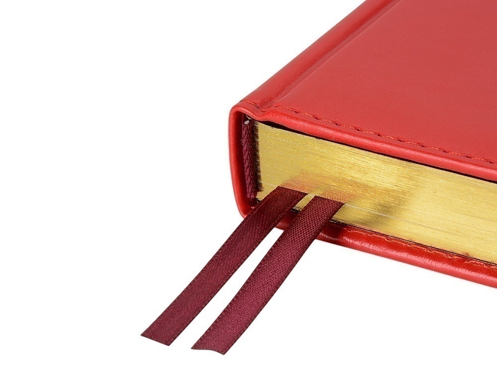 Ежедневник недатированный А5 Parliament