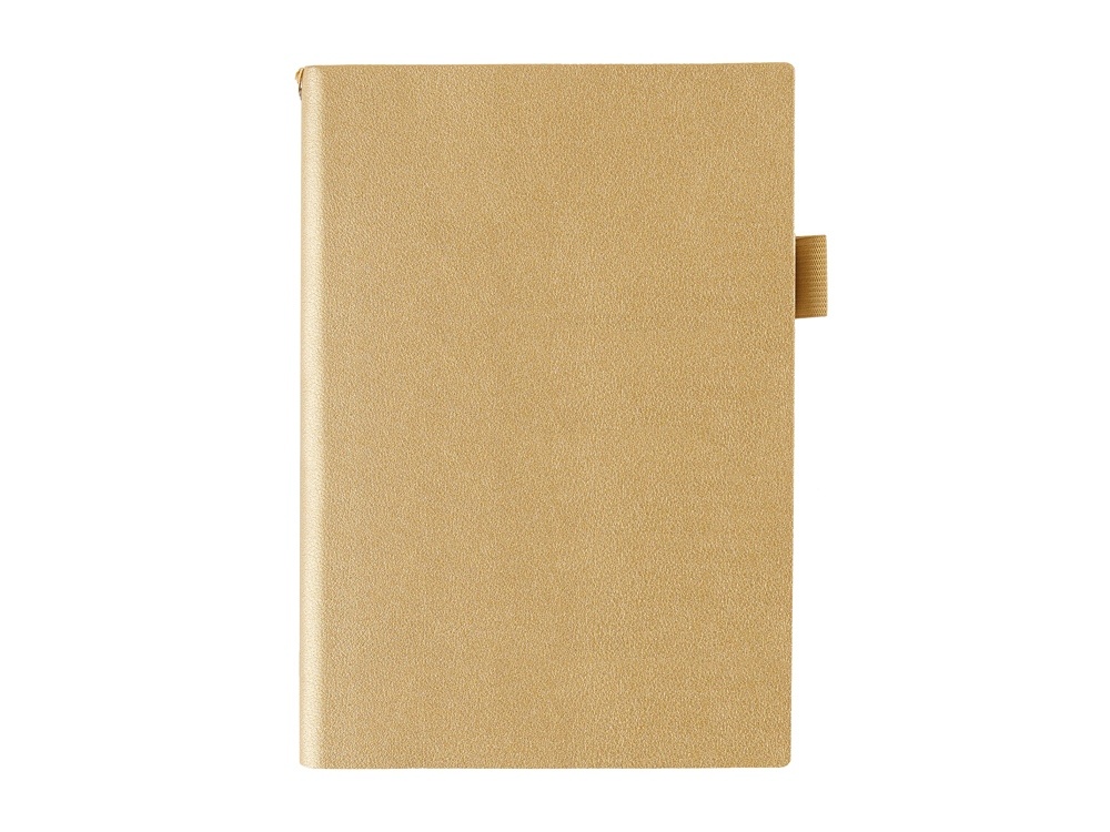 Ежедневник недатированный А5 Grand