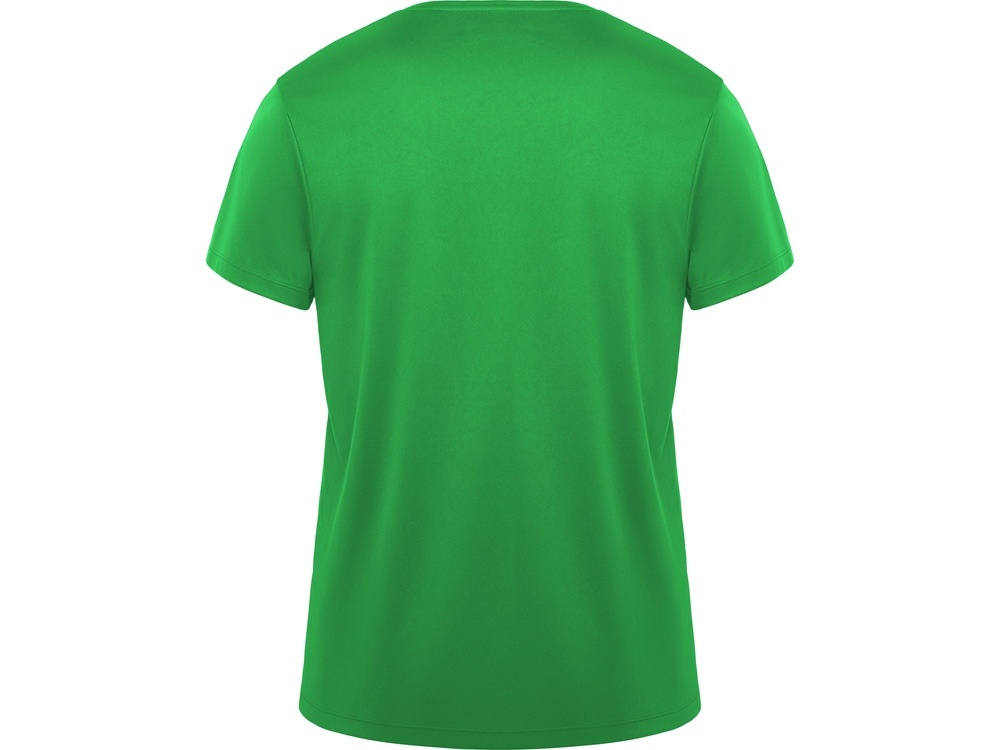 Спортивная футболка Daytona мужская