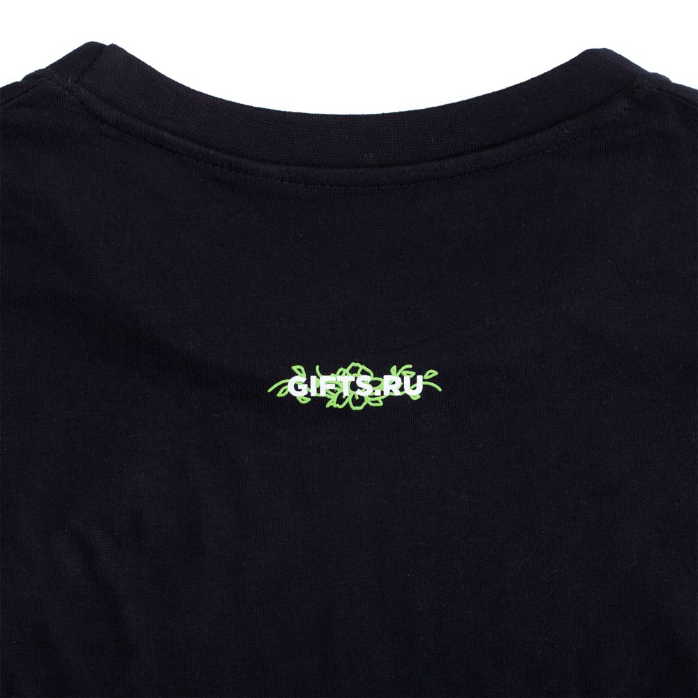 Футболка мужская Regent Fit 150