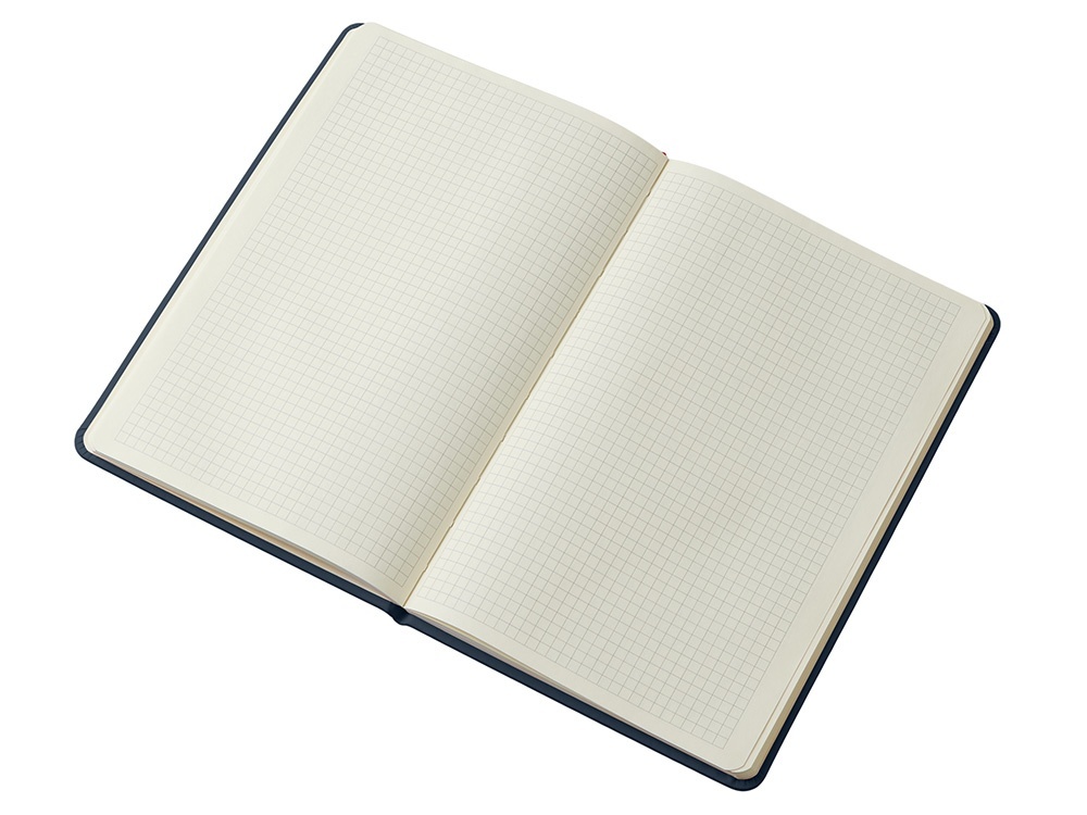 Блокнот в твердой обложке A5 Виспи в клетку